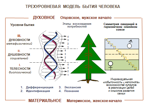 Модель бытия человека